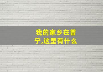 我的家乡在普宁,这里有什么