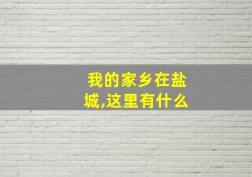 我的家乡在盐城,这里有什么