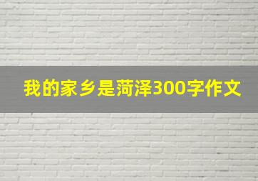 我的家乡是菏泽300字作文