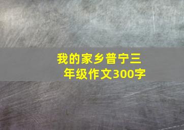 我的家乡普宁三年级作文300字