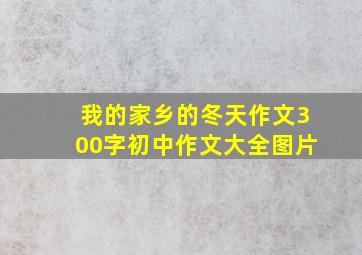 我的家乡的冬天作文300字初中作文大全图片