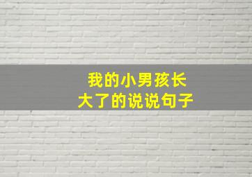 我的小男孩长大了的说说句子