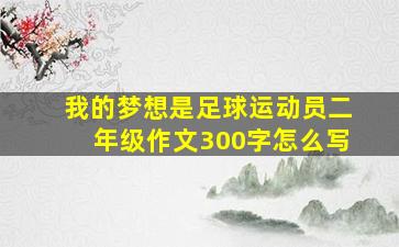 我的梦想是足球运动员二年级作文300字怎么写