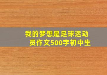 我的梦想是足球运动员作文500字初中生