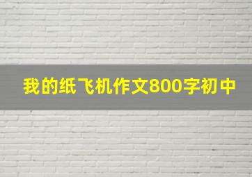 我的纸飞机作文800字初中