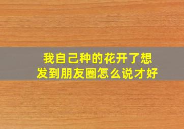 我自己种的花开了想发到朋友圈怎么说才好