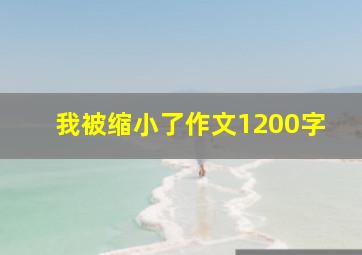 我被缩小了作文1200字