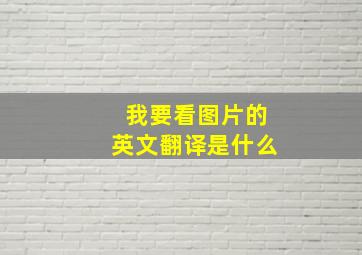 我要看图片的英文翻译是什么