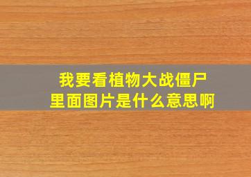 我要看植物大战僵尸里面图片是什么意思啊