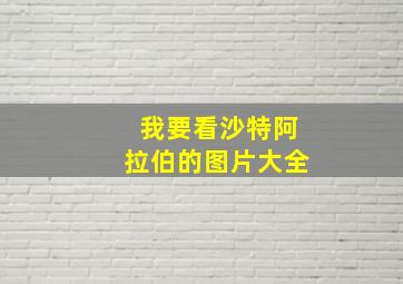 我要看沙特阿拉伯的图片大全