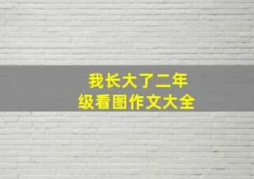 我长大了二年级看图作文大全