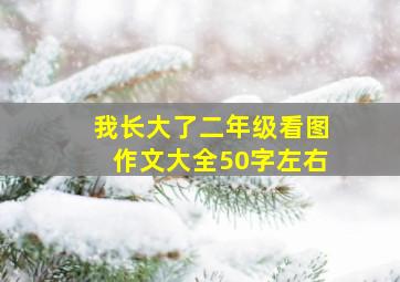 我长大了二年级看图作文大全50字左右