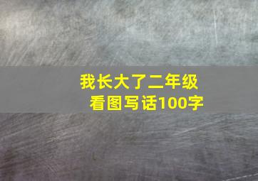 我长大了二年级看图写话100字