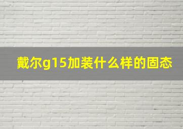 戴尔g15加装什么样的固态