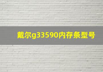 戴尔g33590内存条型号