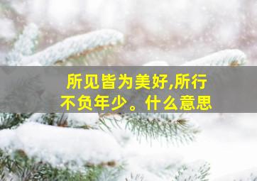 所见皆为美好,所行不负年少。什么意思