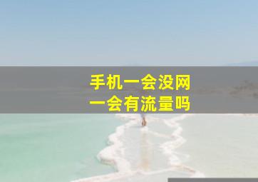 手机一会没网一会有流量吗