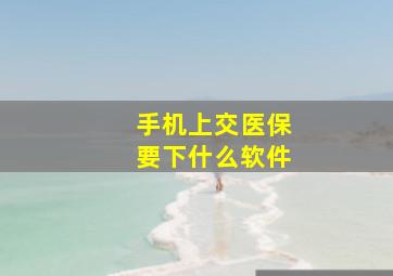 手机上交医保要下什么软件