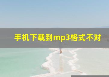 手机下载到mp3格式不对