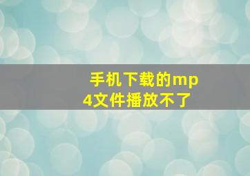 手机下载的mp4文件播放不了