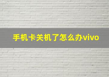 手机卡关机了怎么办vivo