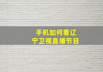 手机如何看辽宁卫视直播节目