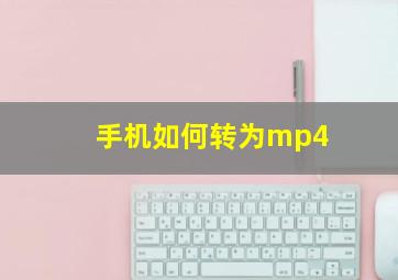 手机如何转为mp4