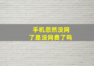 手机忽然没网了是没网费了吗