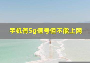 手机有5g信号但不能上网