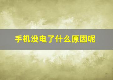 手机没电了什么原因呢