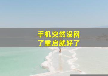 手机突然没网了重启就好了