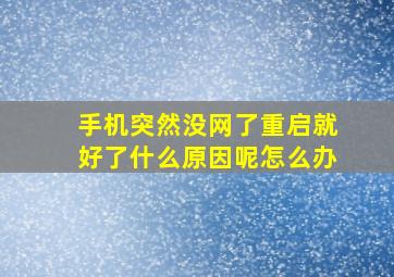 手机突然没网了重启就好了什么原因呢怎么办