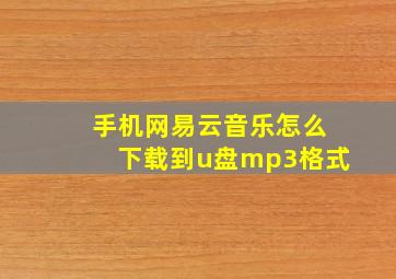 手机网易云音乐怎么下载到u盘mp3格式