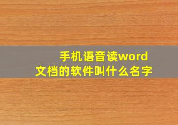 手机语音读word文档的软件叫什么名字