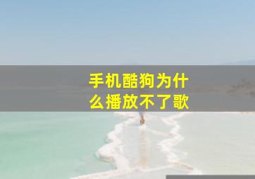 手机酷狗为什么播放不了歌