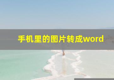 手机里的图片转成word