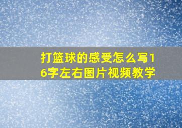 打篮球的感受怎么写16字左右图片视频教学