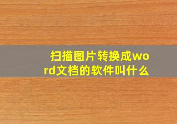 扫描图片转换成word文档的软件叫什么