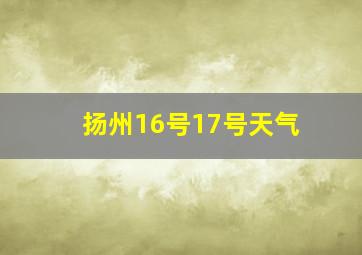 扬州16号17号天气