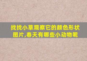 找找小草观察它的颜色形状图片,春天有哪些小动物呢