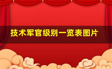 技术军官级别一览表图片