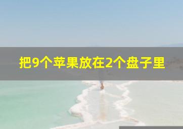 把9个苹果放在2个盘子里