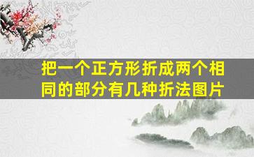 把一个正方形折成两个相同的部分有几种折法图片