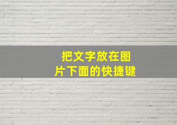 把文字放在图片下面的快捷键