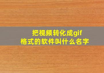 把视频转化成gif格式的软件叫什么名字