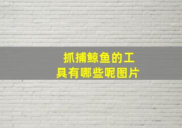 抓捕鲸鱼的工具有哪些呢图片