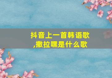 抖音上一首韩语歌,撒拉嘿是什么歌