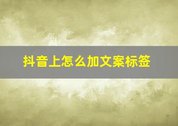 抖音上怎么加文案标签