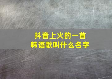 抖音上火的一首韩语歌叫什么名字