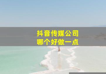 抖音传媒公司哪个好做一点